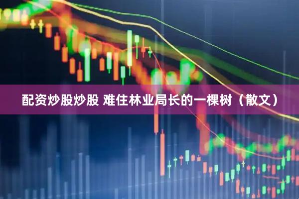 配资炒股炒股 难住林业局长的一棵树（散文）