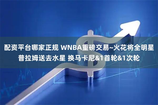 配资平台哪家正规 WNBA重磅交易~火花将全明星普拉姆送去水星 换马卡尼&1首轮&1次轮